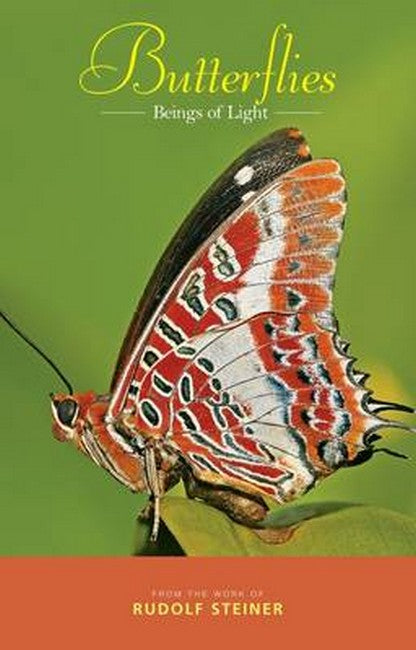 Butterflies cover