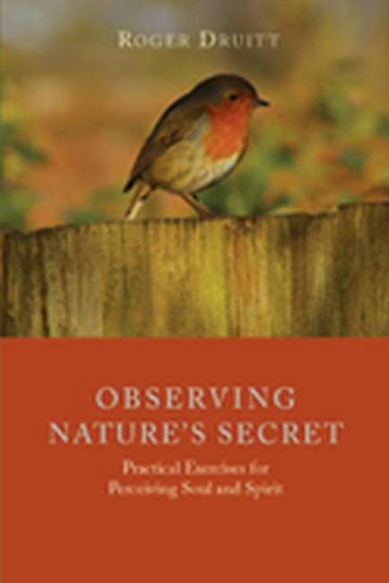 Observing Nature's Secret cover