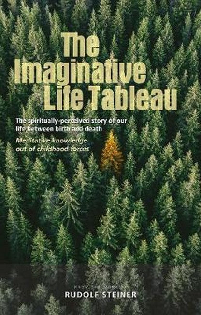 The Imaginative Life Tableau: The spiritually-perceived story of our life between birth and death Meditative knowledge out of childhood forces