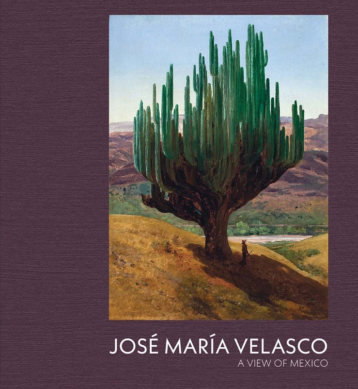 Jose Maria Velasco: A View of Mexico cover