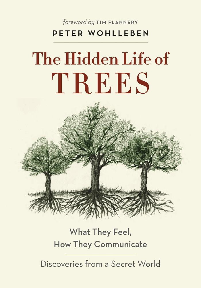 The Hidden Life of Trees book cover