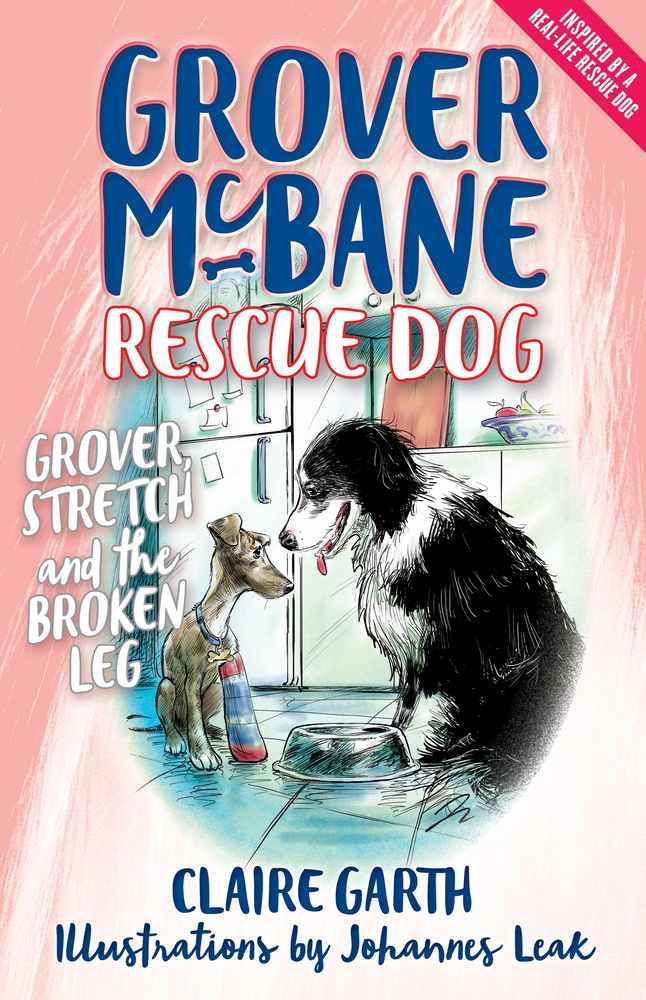 Grover McBane Rescue Dog: Grover, Stretch and the Broken Leg (Book 4) book cover
