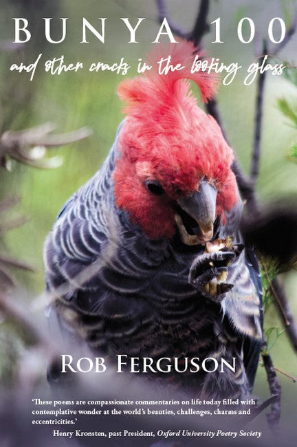 Bunya 100 cover