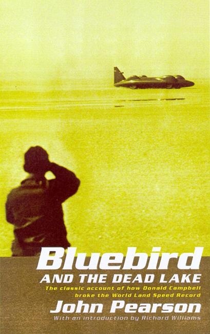 Bluebird & the Dead Lake book cover