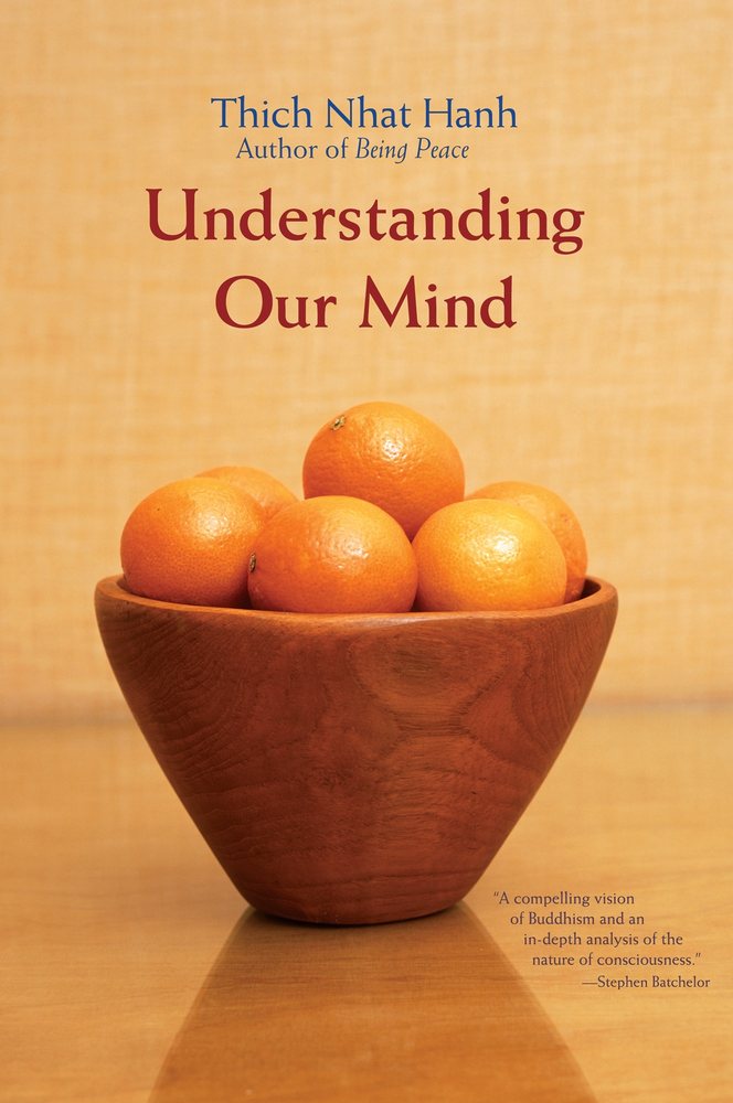 Understanding Our Mind book cover