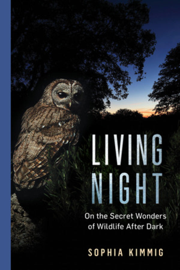 Living Night: On the Secret Wonders of Wildlife After Dark cover