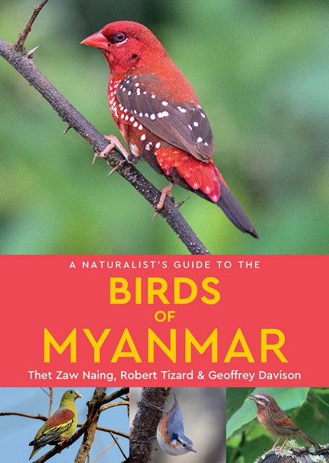A Naturalist's Guide to the Birds of Myanmar cover