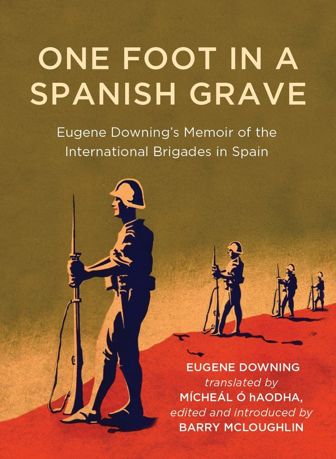 Writings from the Laureate for Irish Fiction cover