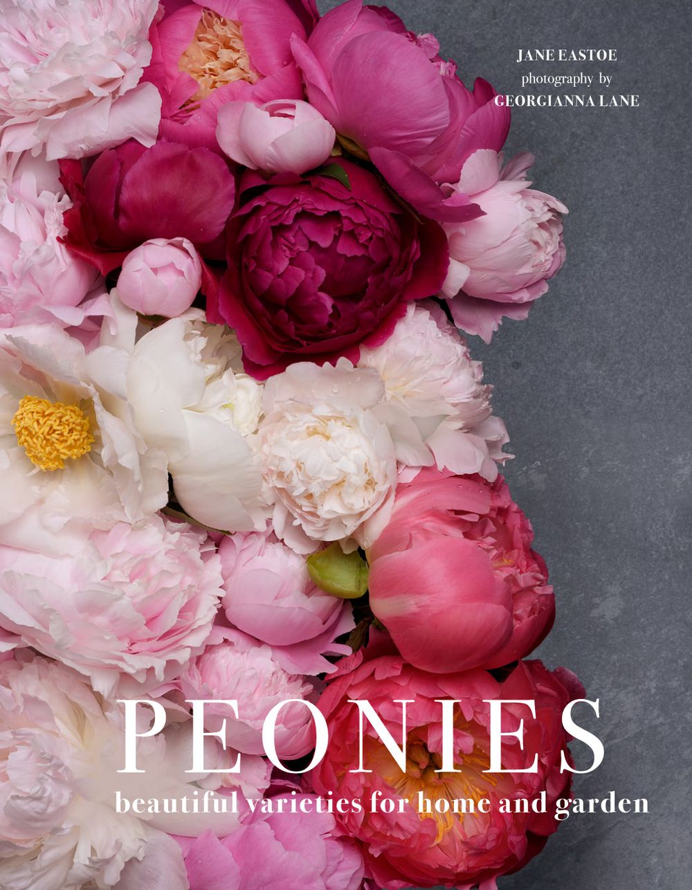 Peonies: Beautiful Varieties For Home And Garden