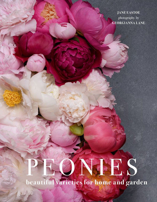 Peonies: Beautiful Varieties For Home And Garden