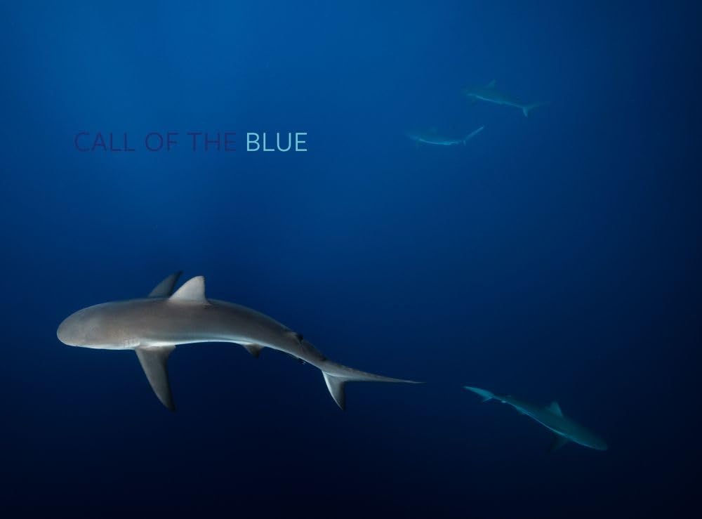 Call of the Blue cover