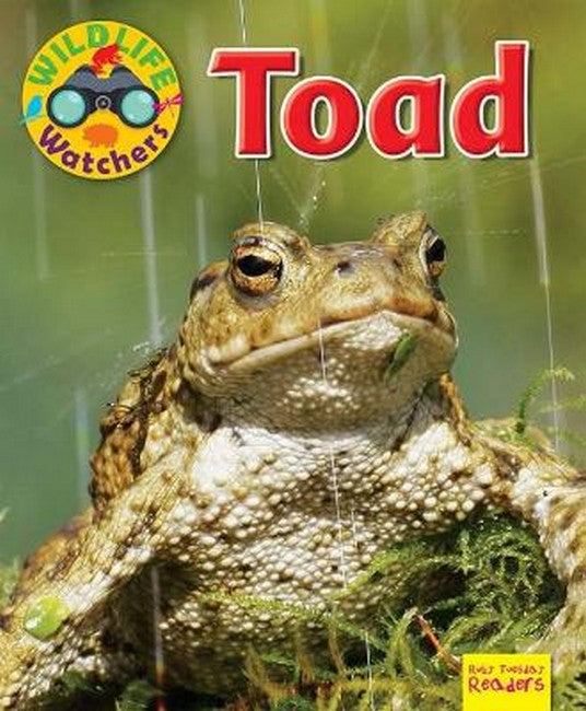 Wildlife Watchers: Toad cover