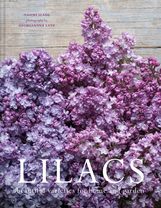 Lilacs: Beautiful varieties for home and garden