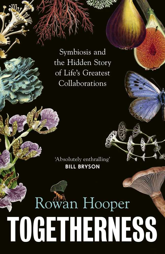Togetherness book cover