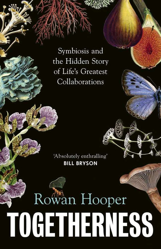 Togetherness book cover