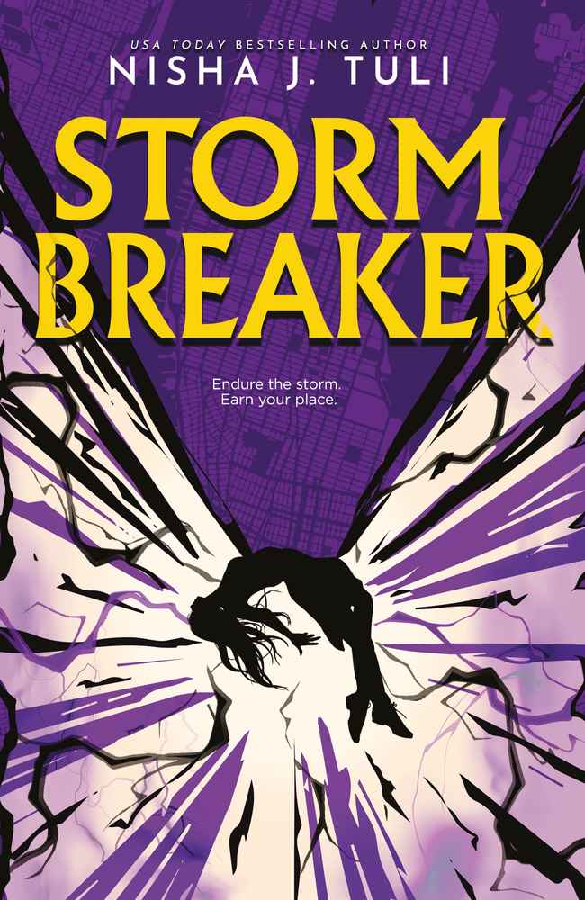 Storm Breaker book cover