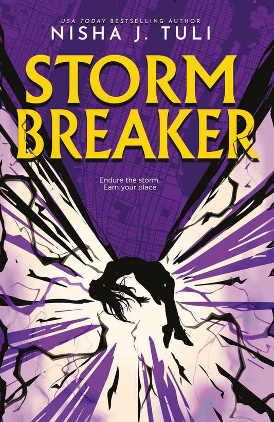 Storm Breaker book cover