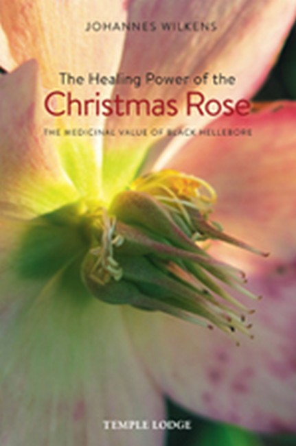 The Healing Power of the Christmas Rose cover