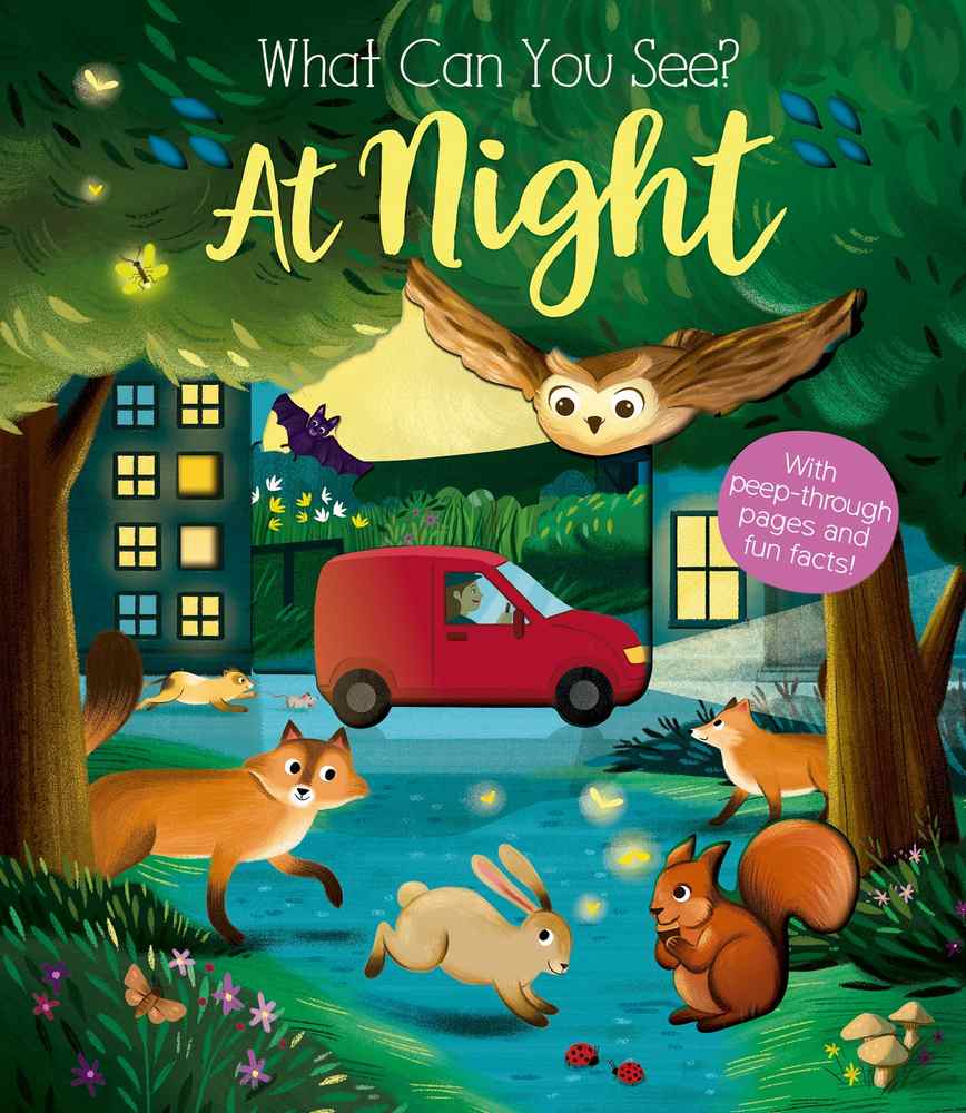 What Can You See At Night? book cover