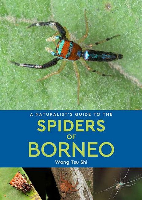 A Naturalist's Guide to the Spiders of Borneo cover