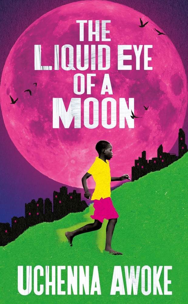 The Liquid Eye of a Moon book cover