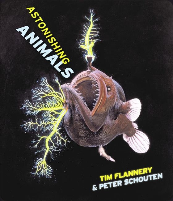 Astonishing Animals book cover