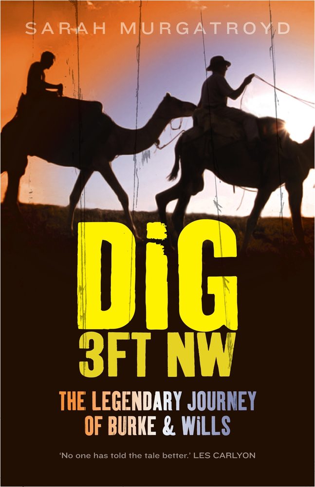 Dig 3ft NW book cover