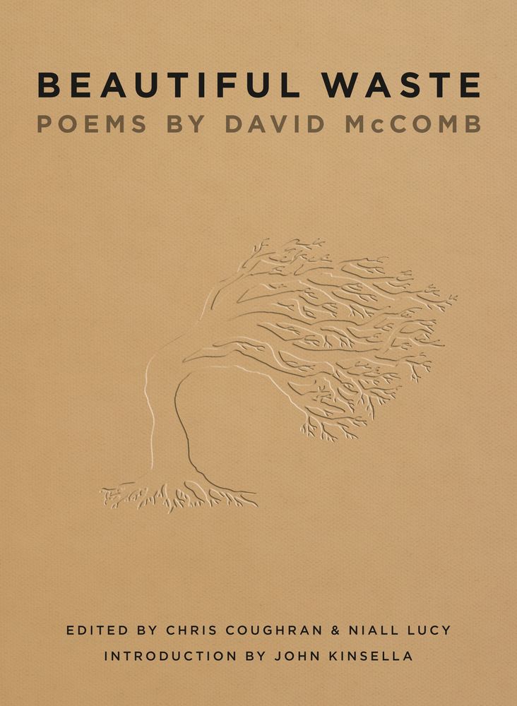 Beautiful Waste book cover