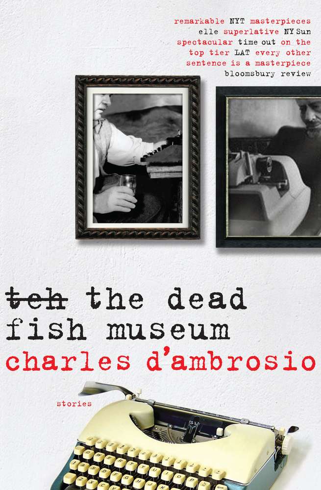 The Dead Fish Museum book cover