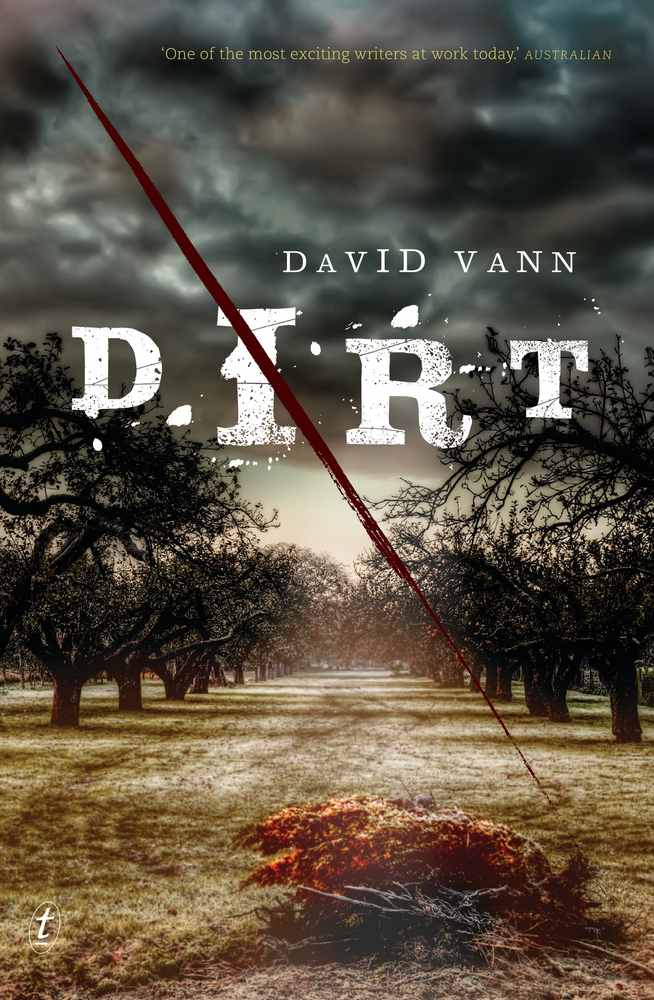 Dirt book cover