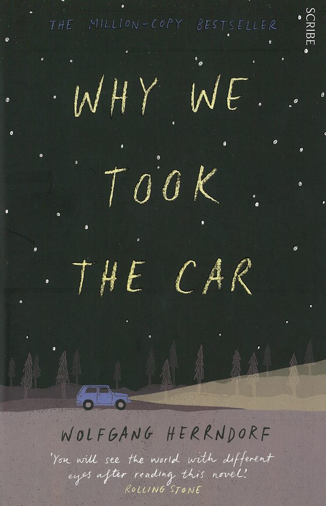Why We Took the Car book cover