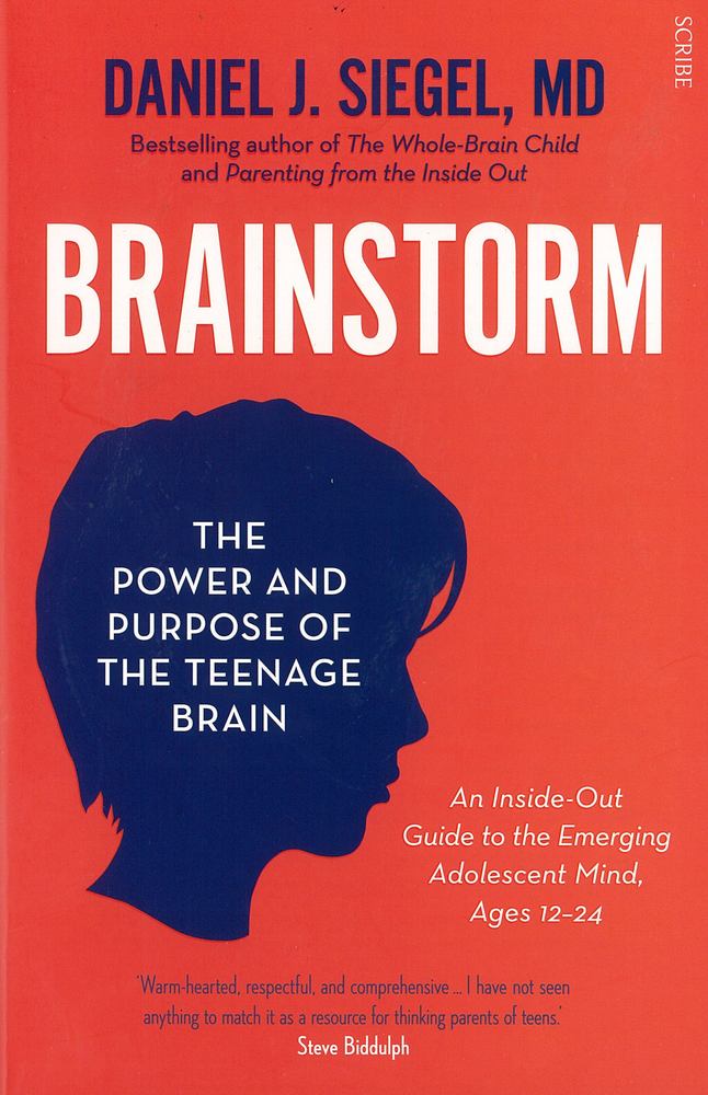 Brainstorm book cover