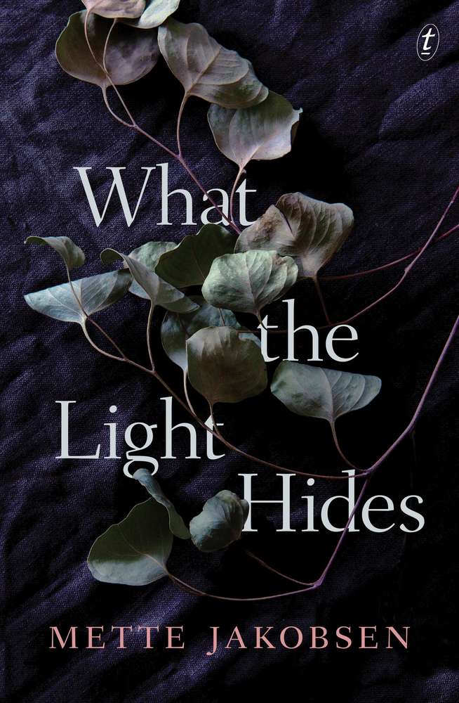 What the Light Hides book cover