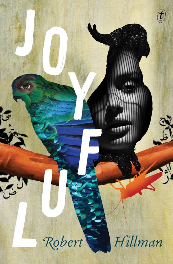 Joyful book cover