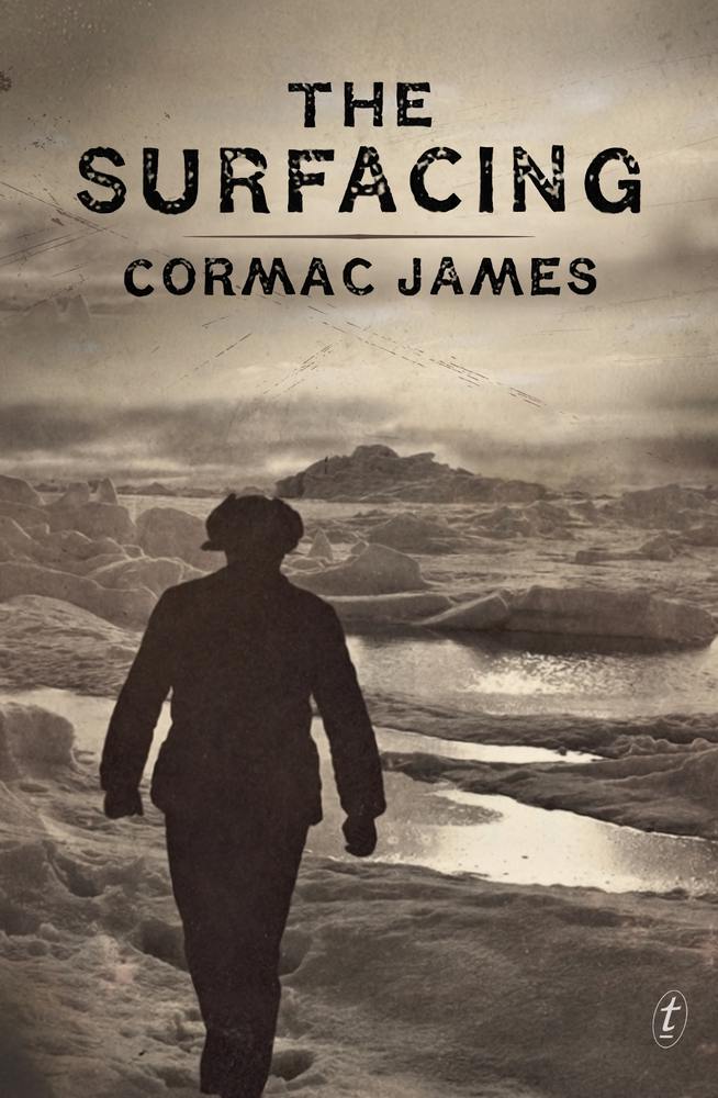 The Surfacing book cover