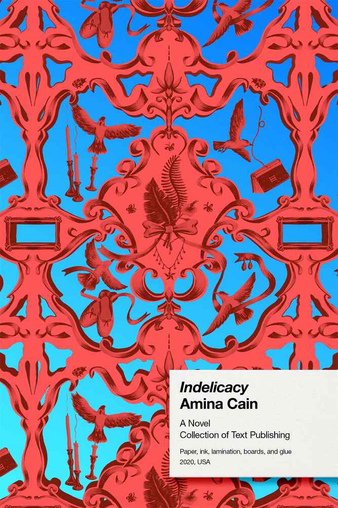 Indelicacy book cover