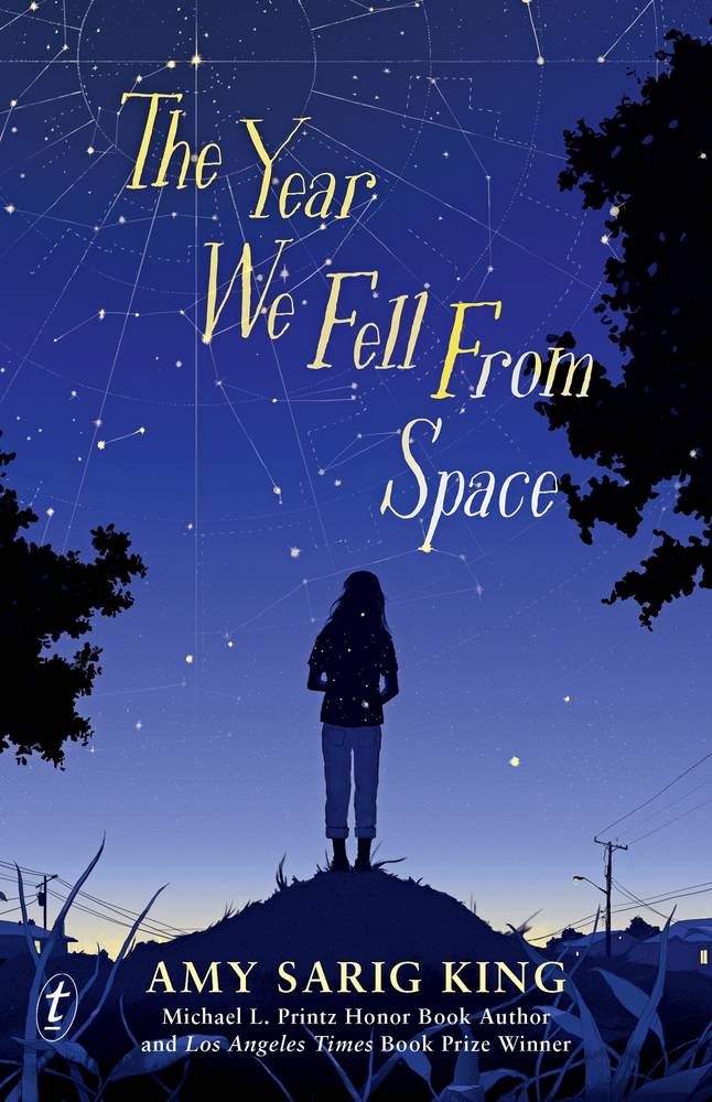 The Year We Fell from Space book cover