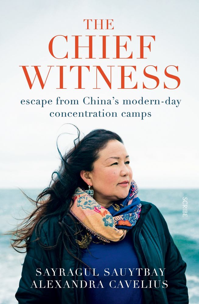 The Chief Witness book cover