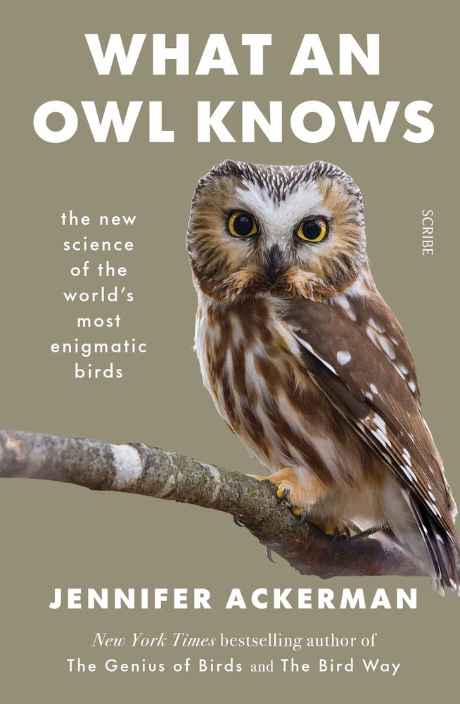 What an Owl Knows book cover