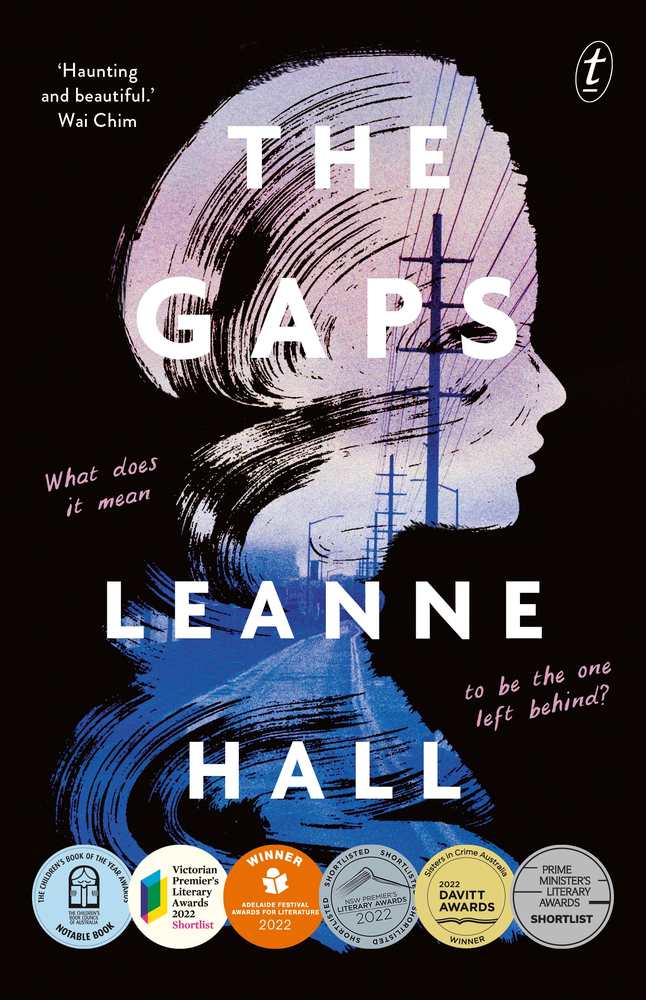 The Gaps book cover