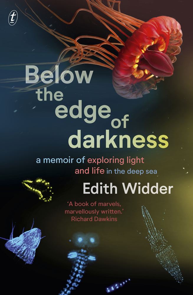 Below the Edge of Darkness book cover
