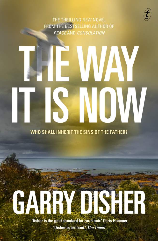 The Way It Is Now book cover