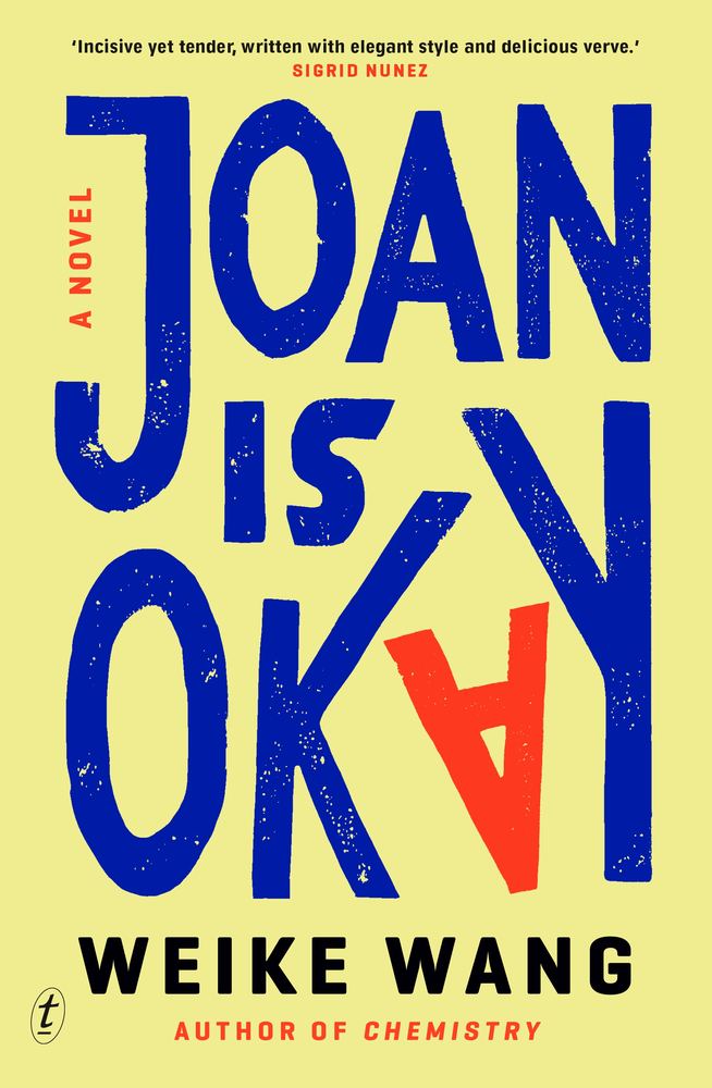 Joan Is Okay book cover