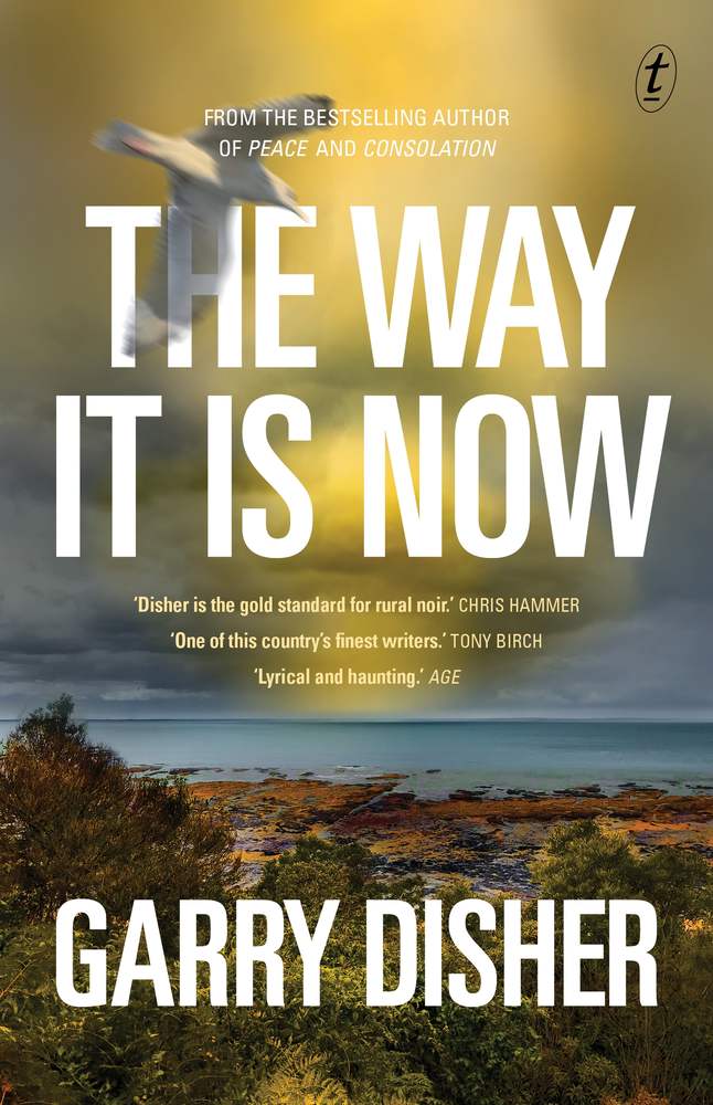 The Way It Is Now book cover