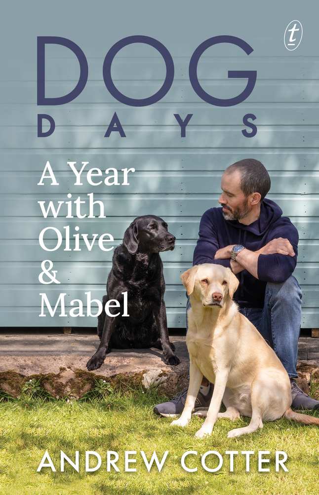 Dog Days book cover