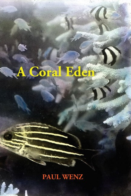 A Coral Eden cover