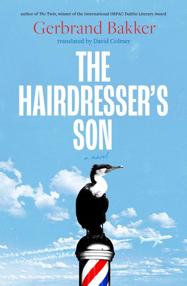 The Hairdresser's Son book cover
