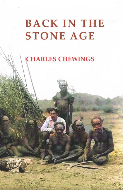 Back in the Stone Age cover