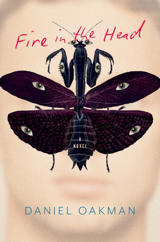 Fire in the Head book cover
