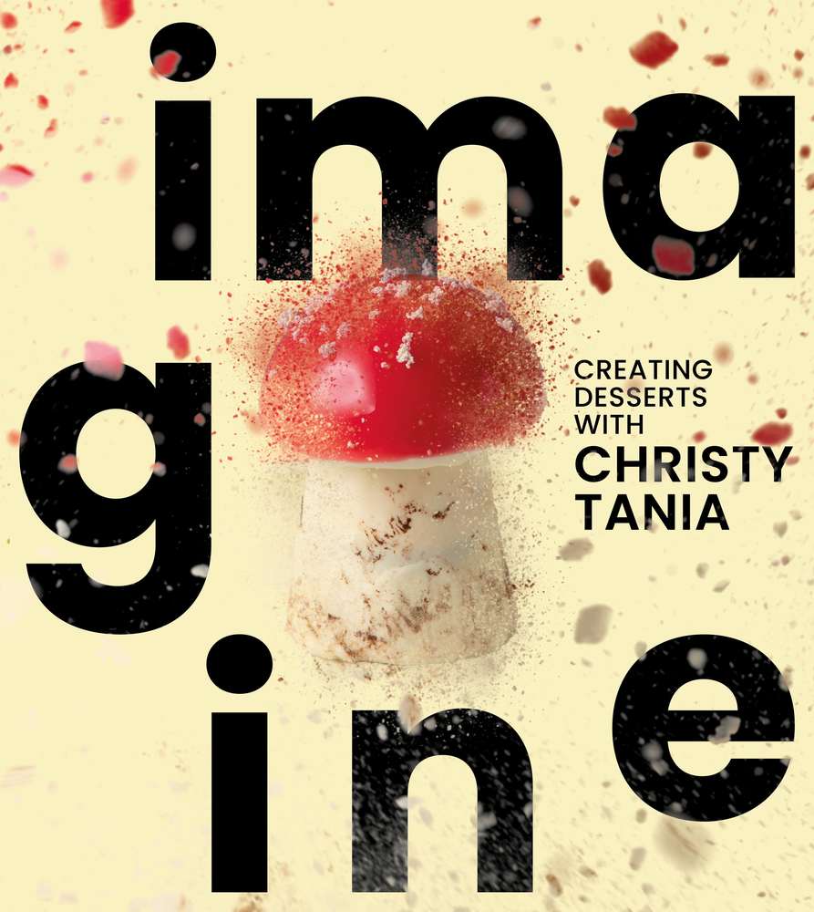 Imagine book cover